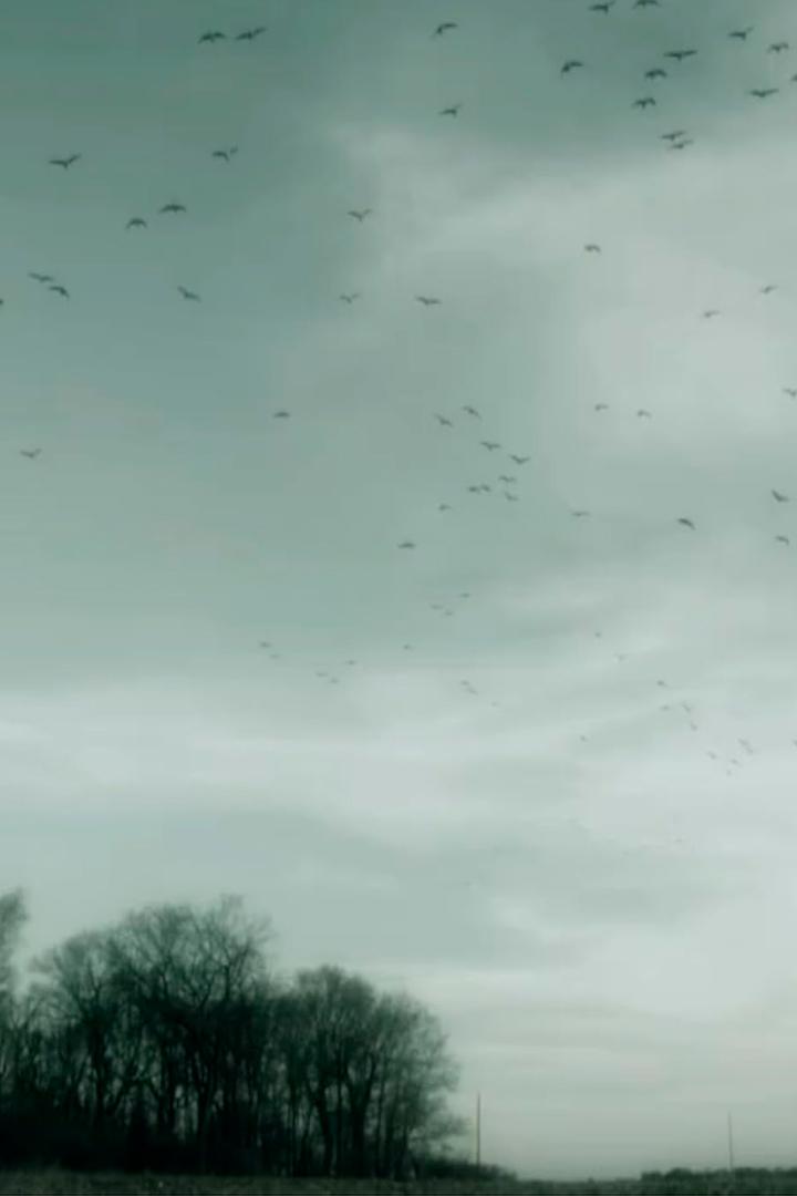 Без следа (bez-sleda) Документальный сериал