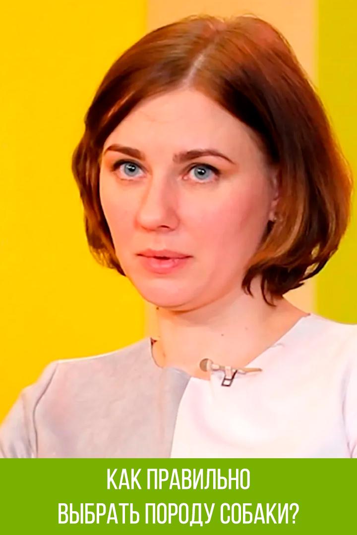Как правильно выбрать породу собаки? (kak-pravilno-vybrat-porodu-sobaki) Познавательное