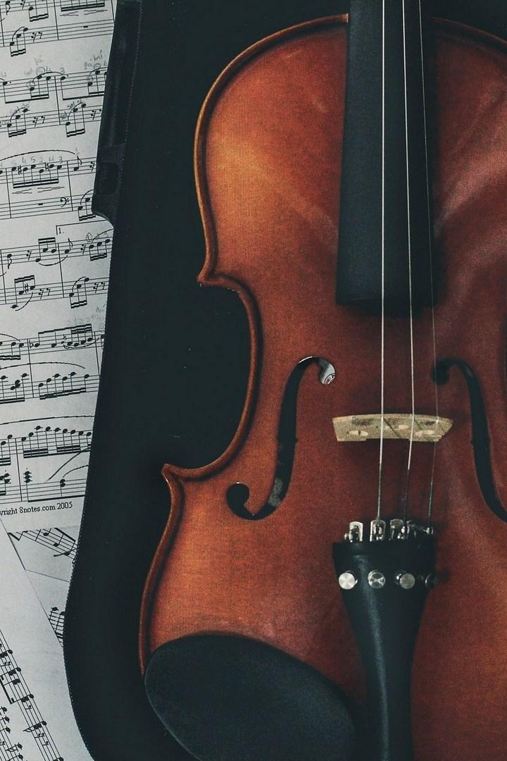 Viyana Filarmoni Orkestrası Palais Garnier'in 150. Yılı Konseri (viyana-filarmoni-orkestras-palais-garnierin-150-yl-konseri) Музыка