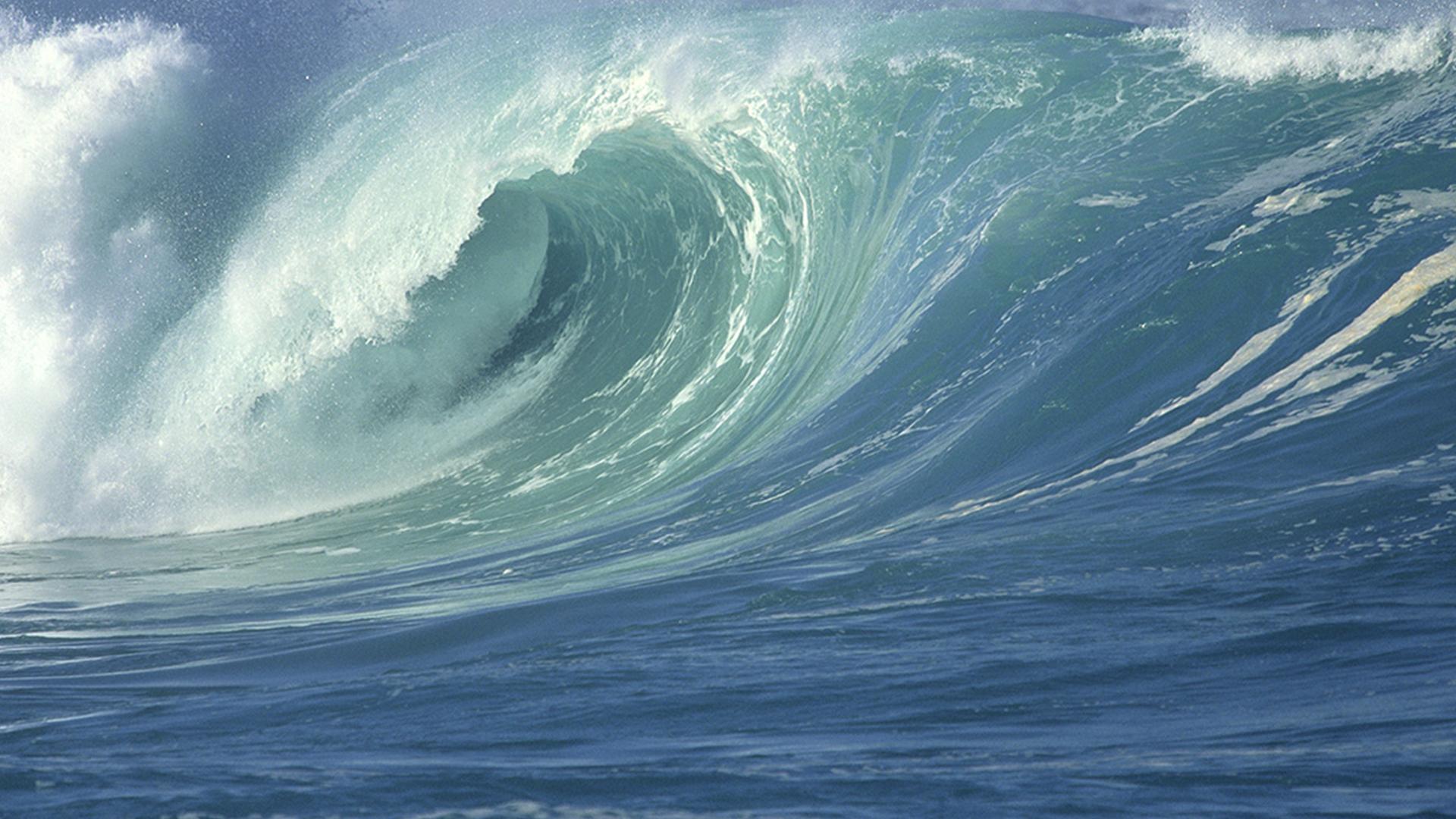 Море в моей жизни (more-v-moej-zhizni) Реалити-шоу