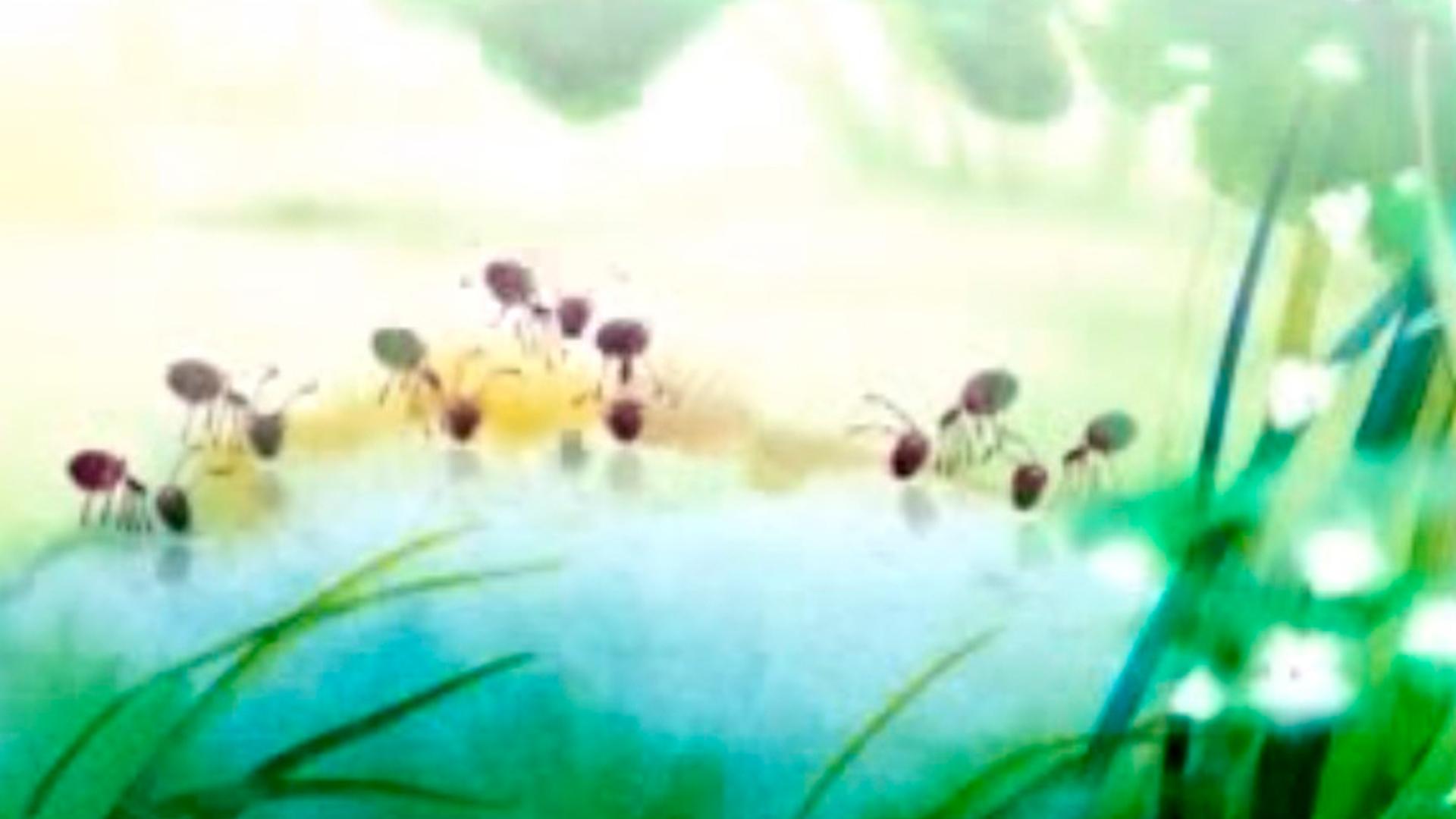 Муравейка (muravejka) Мультфильм 2008