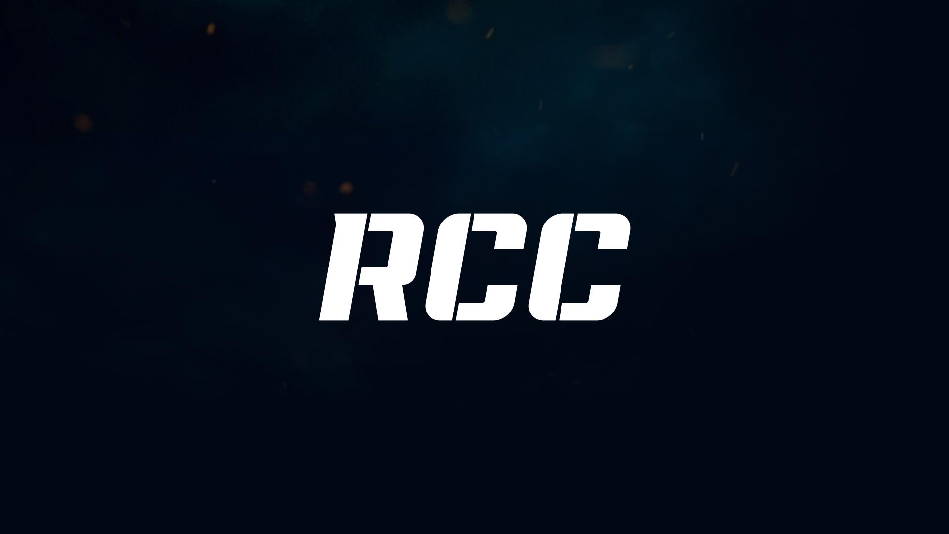 Смешанные единоборства. RCC Fight Show. Финал (smeshannye-edinoborstva-rcc-fight-show-final) Спорт