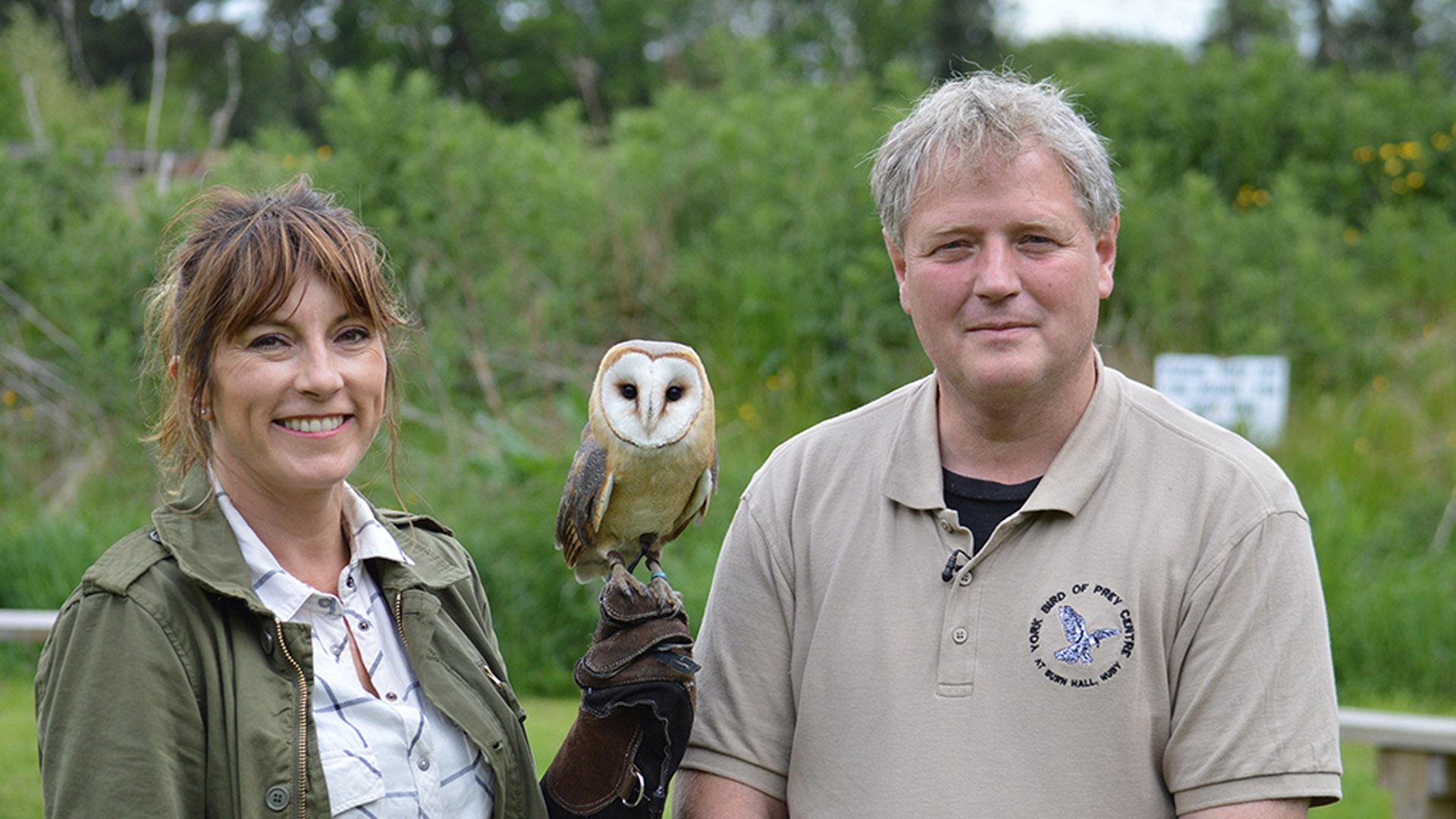 Удивительные истории рождения животных (udivitelnye-istorii-rozhdenija-zhivotnyh) Документальный сериал