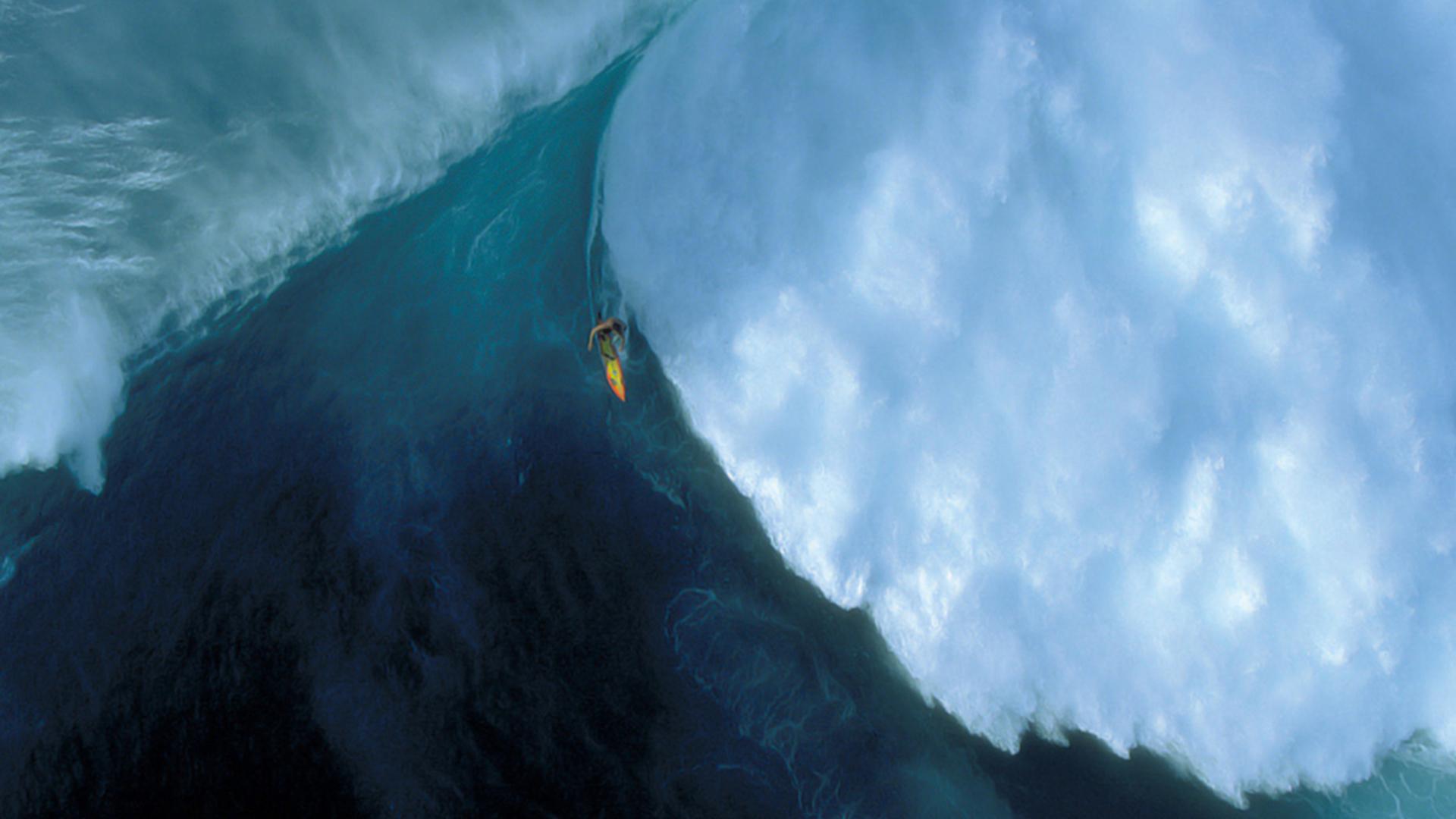 Mar da Calha: главная волна Португалии (mar-da-calha-glavnaja-volna-portugalii) Познавательное