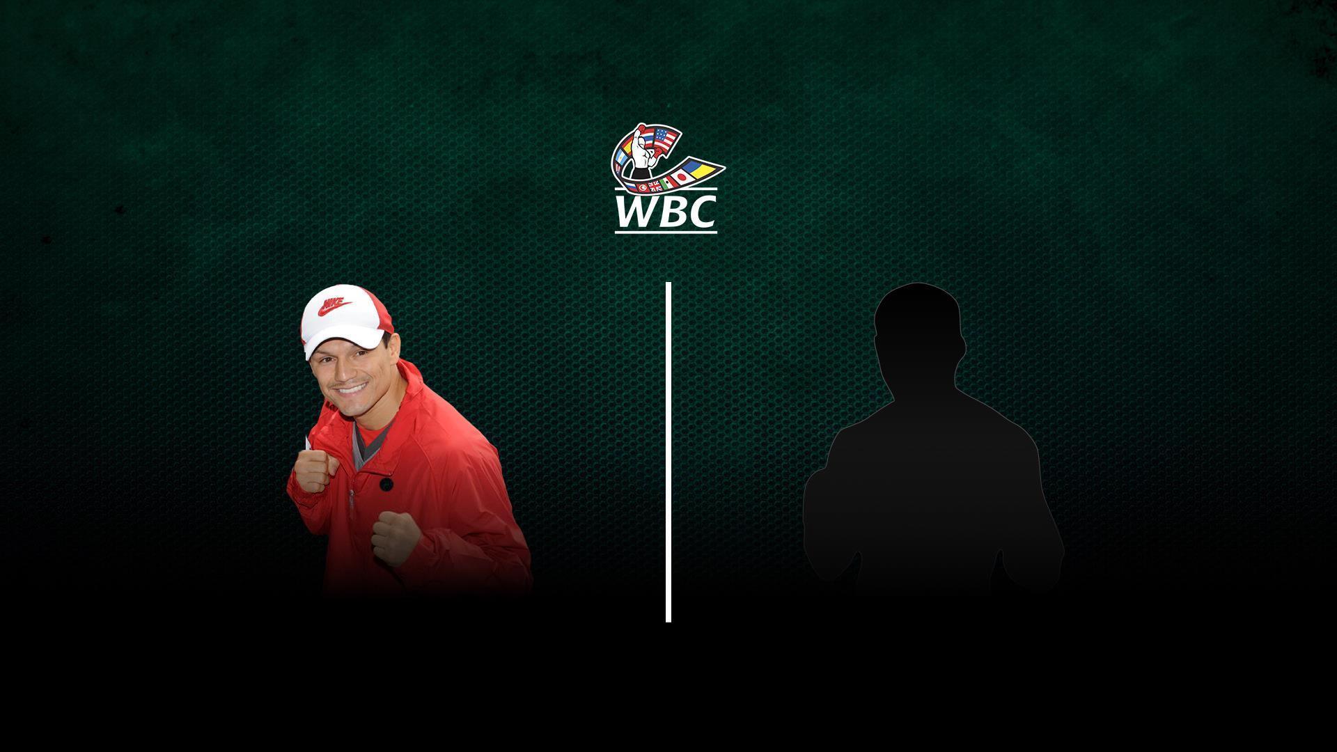 Отборочный бой за титул WBC в лёгком весе. Хуан Ласкано - Стиви Джонстон (otborochnyj-boj-za-titul-wbc-v-legkom-vese-huan-laskano-stivi-dzhonston) Спорт