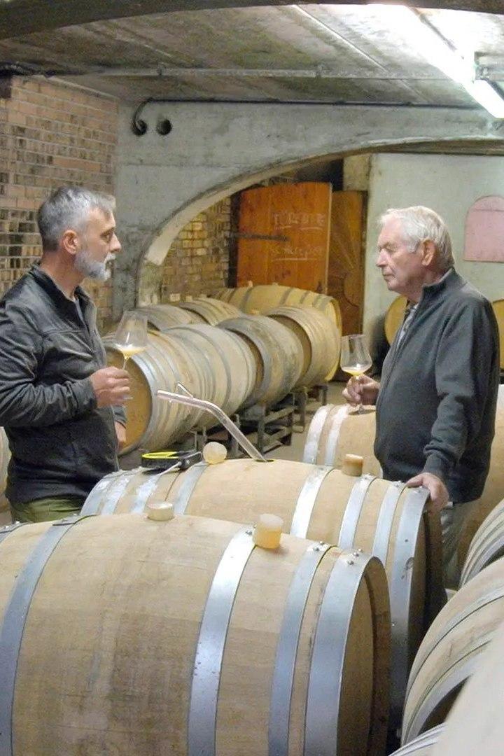 1985: Le scandale des vins frelatés (1985-le-scandale-des-vins-frelats) Познавательное