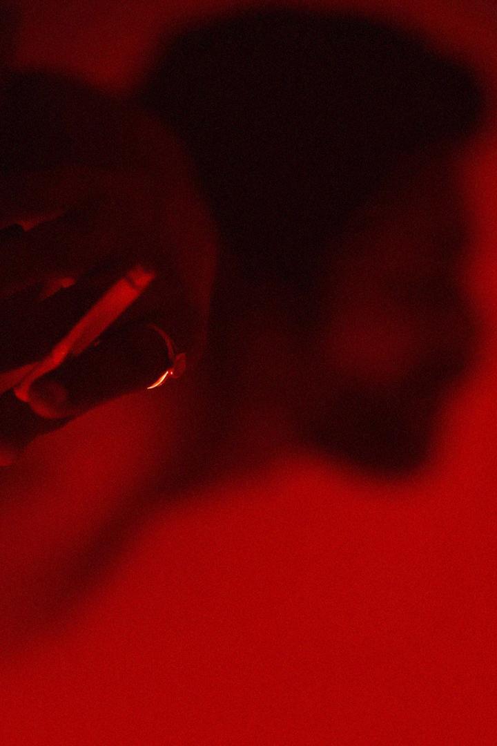 The Murderer: Hamilton Palace (the-murderer-hamilton-palace) Фильм 2011