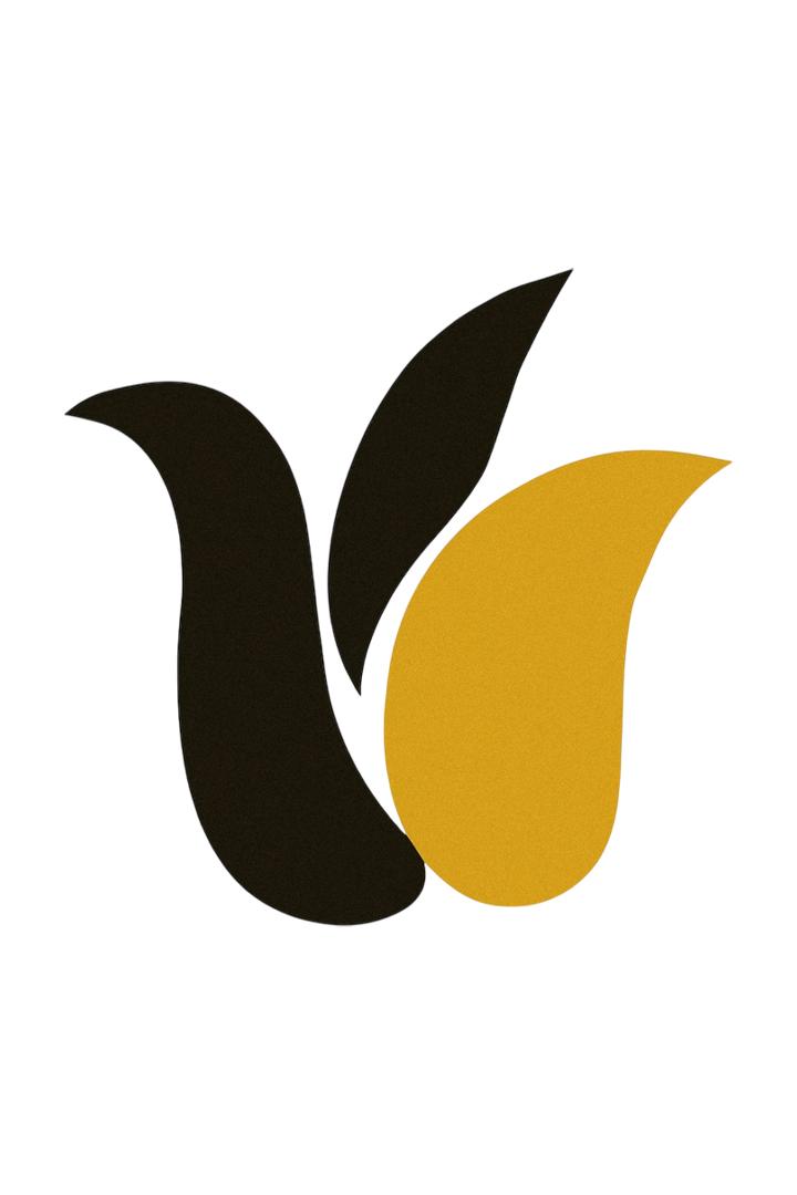 Tulipani di Seta Nera 2025 - Gran Galà del Sociale (tulipani-di-seta-nera-2025-gran-gal-del-sociale) Досуг, хобби