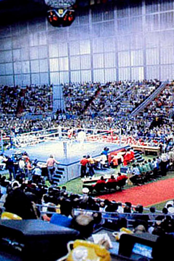 Олимпиада `80. Бокс (olimpiada-80-boks) Досуг, хобби