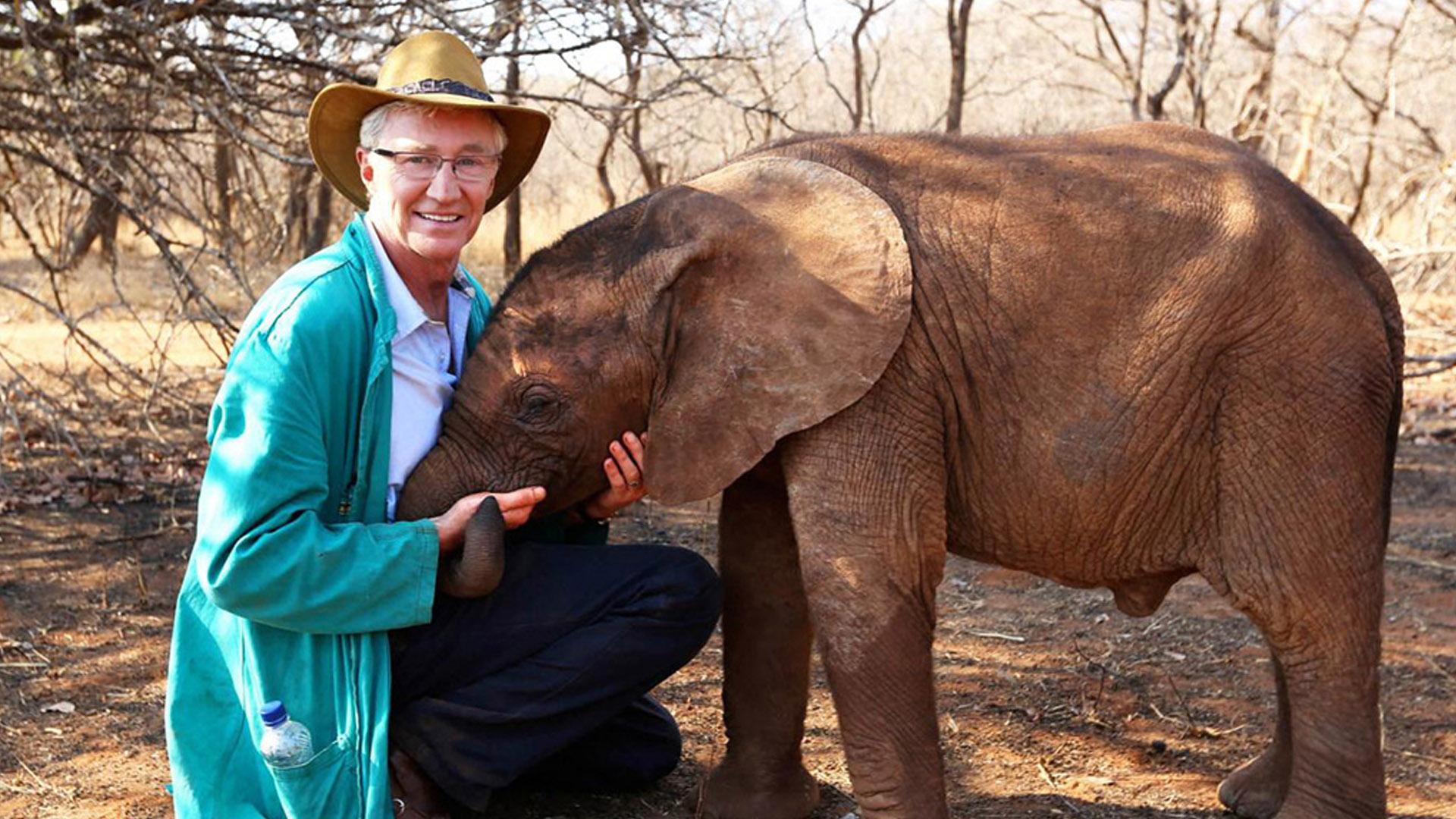 Дикие сироты с Полом О'Грэди (dikie-siroty-s-polom-ogredi) Документальный сериал