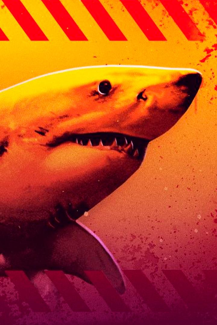 Florida Shark: Blood in the Water (florida-shark-blood-in-the-water) Документальный фильм