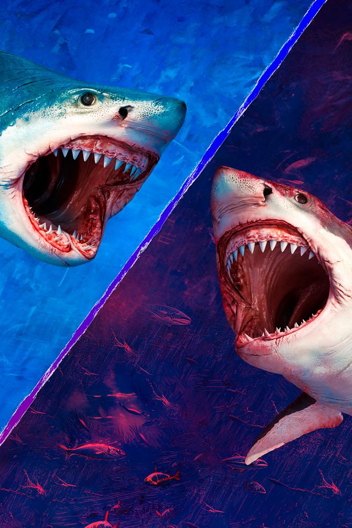 Jaws vs. the Meg (jaws-vs-the-meg) Документальный фильм