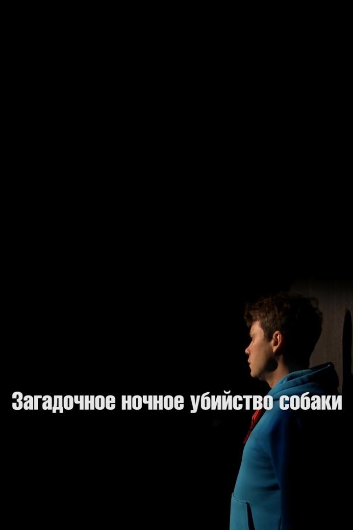 Загадочное ночное убийство собаки (zagadochnoe-nochnoe-ubijstvo-sobaki) Спектакль