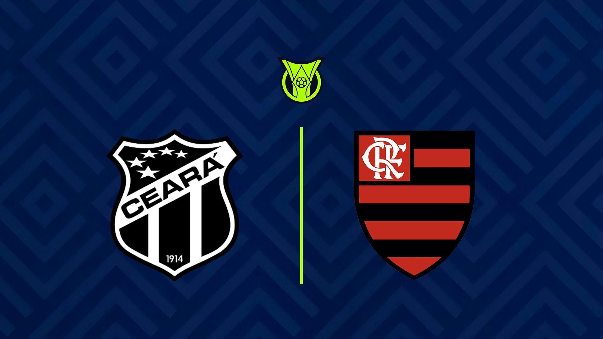 Чемпионат Бразилии. «Сеара» - «Фламенго» (chempionat-brazilii-seara-flamengo) Спорт
