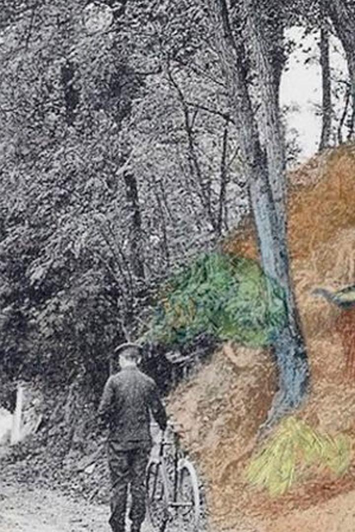 The «Tree Roots» Cold Case. On Van Gogh's Ultimate Painting (the-tree-roots-cold-case-on-van-goghs-ultimate-painting) Документальный фильм