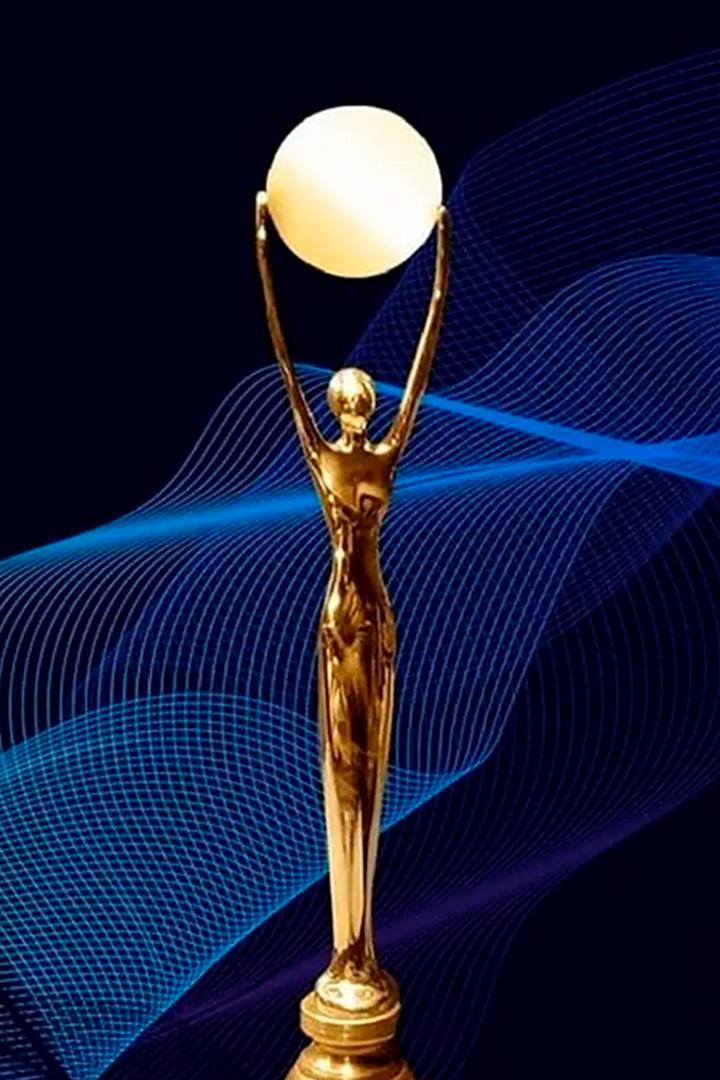 The 4th Blue Dragon Series Awards (the-4th-blue-dragon-series-awards) Досуг, хобби