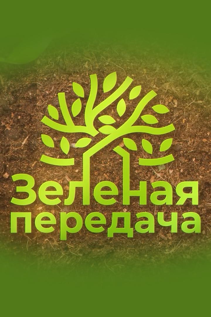 Зеленая передача (zelenaja-peredacha) Досуг, хобби