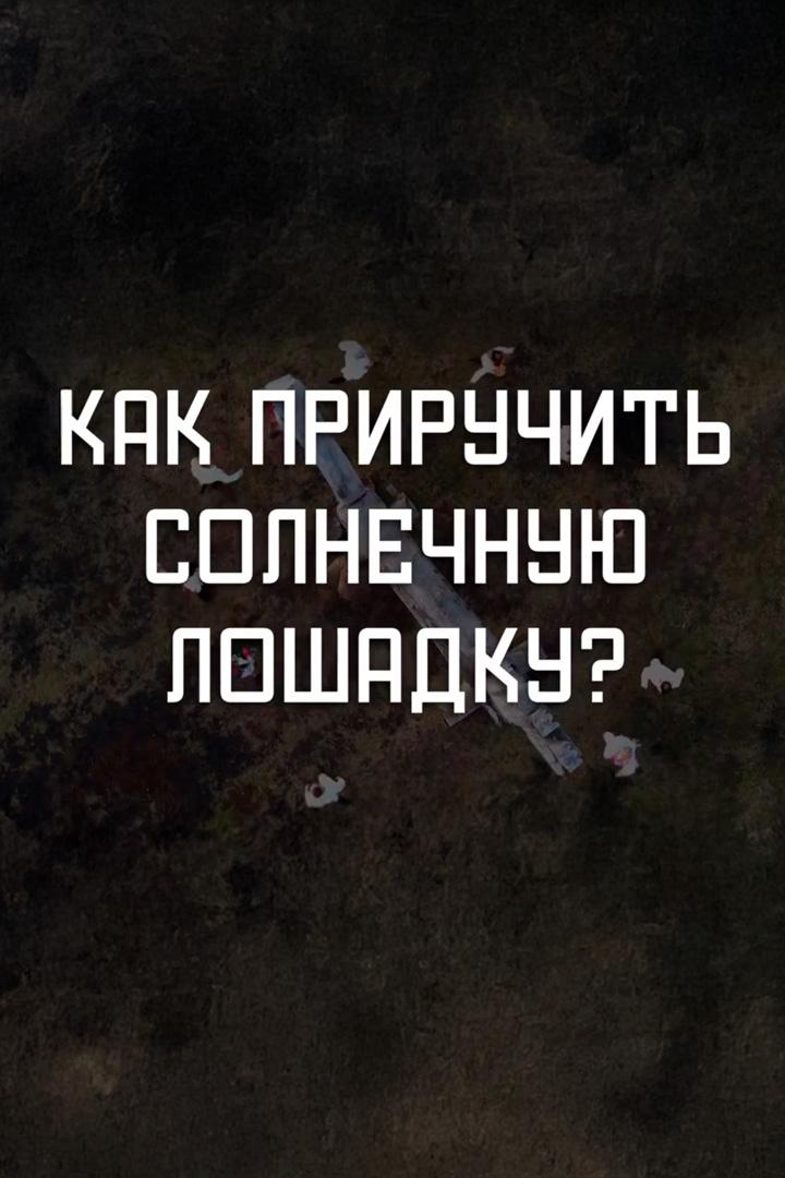 Как приручить солнечную лошадку (kak-priruchit-solnechnuju-loshadku) Досуг, хобби