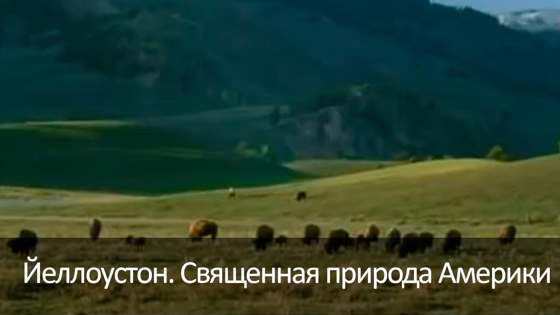 Йеллоустон. Священная природа Америки (jellouston-svjaschennaja-priroda-ameriki) Документальный фильм