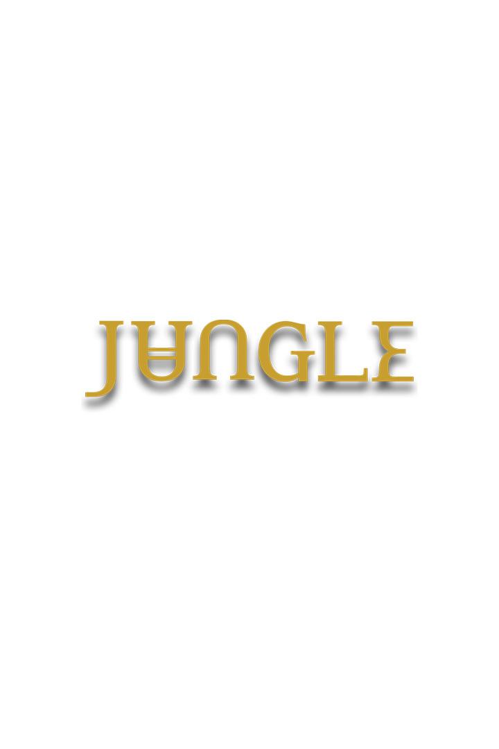 Grupės «Jungle» koncertas Vilniaus Kalnų parke (grups-jungle-koncertas-vilniaus-kaln-parke) Музыка