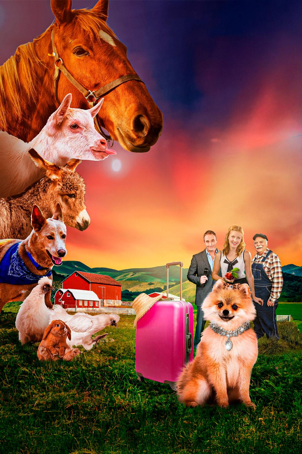 ЛапПарацци (lapparatstsi) Фильм 2019