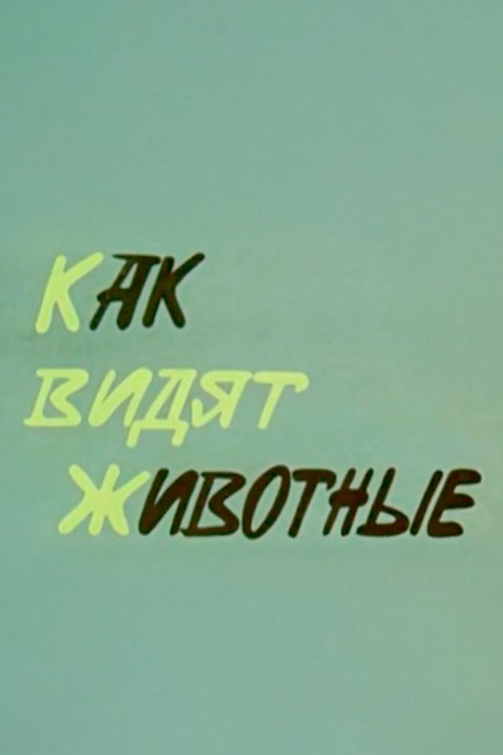 Как видят животные (kak-vidjat-zhivotnye) Документальный фильм