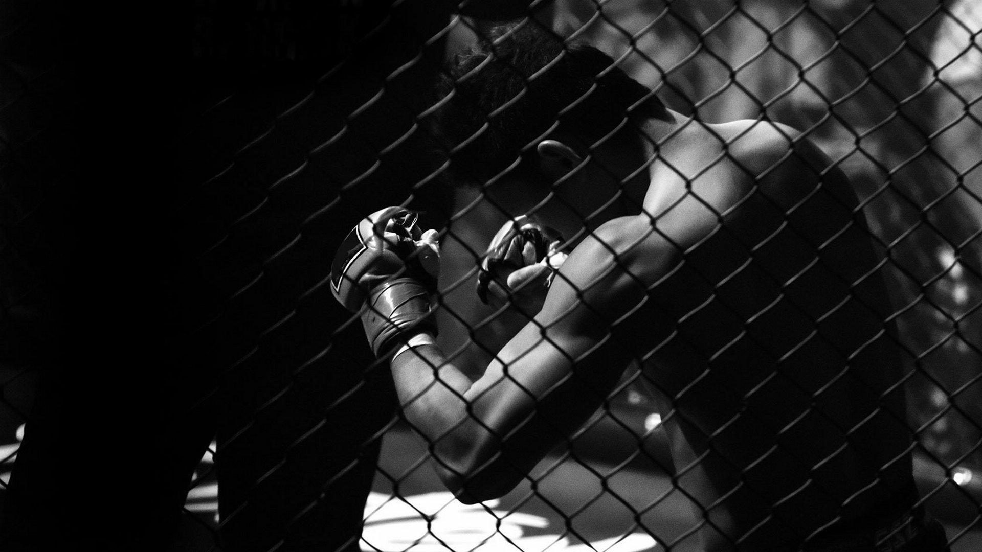 MMA Series. Бразилия против... Д.Гонсалвес, А.Сантос, И.Фигейра (mma-series-brazilija-protiv-dgonsalves-asantos-ifigejra) Спорт