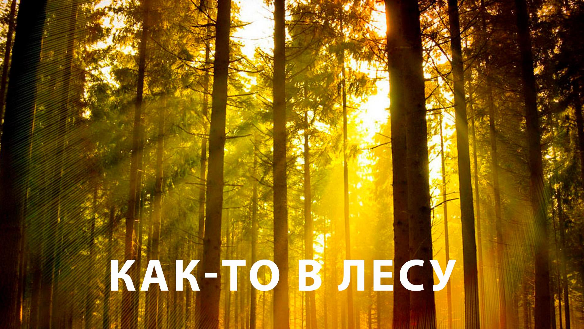 Как-то в лесу (kak-to-v-lesu) Досуг, хобби