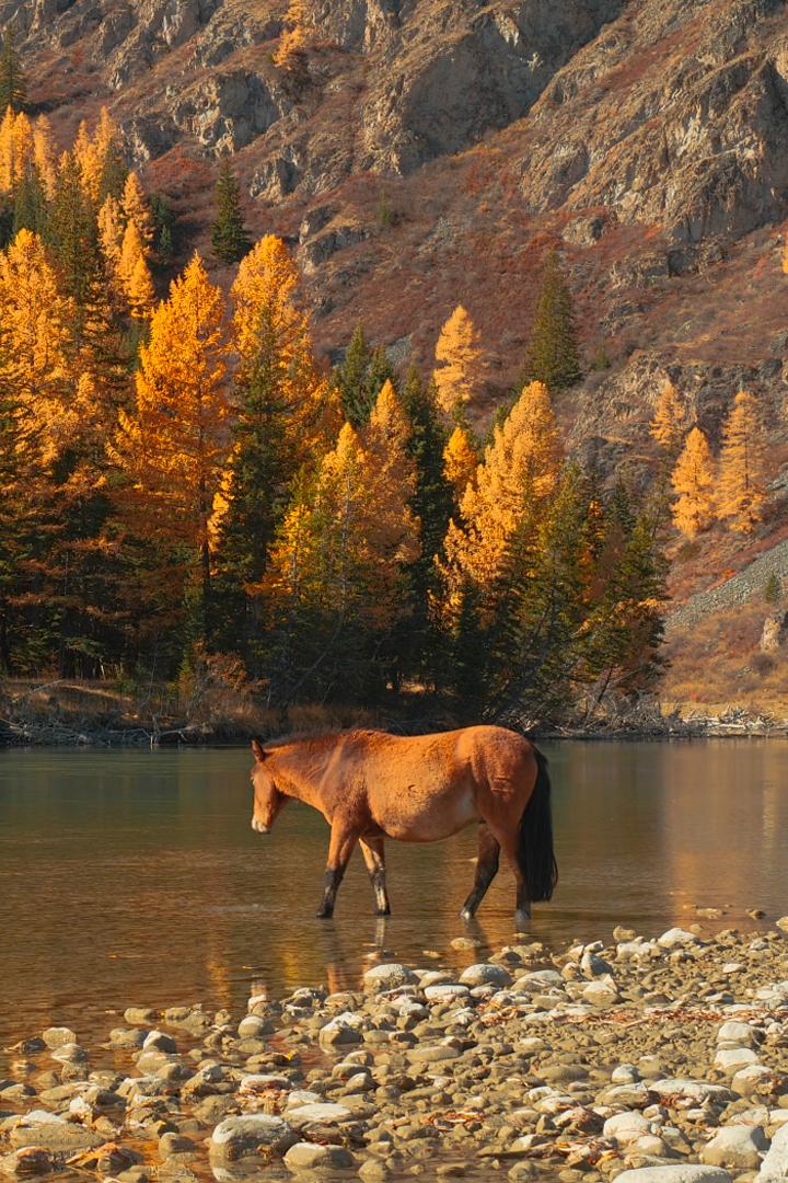 Акташская Гэс (aktashskaja-ges) Досуг, хобби