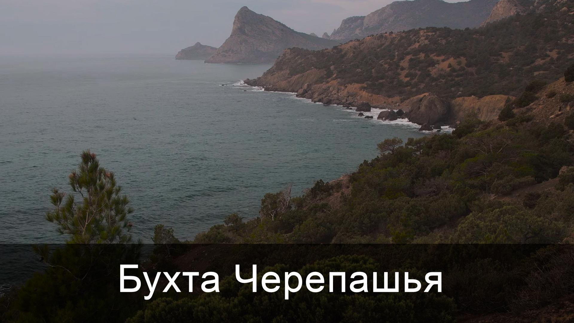 Бухта Черепашья (buhta-cherepashja) Досуг, хобби