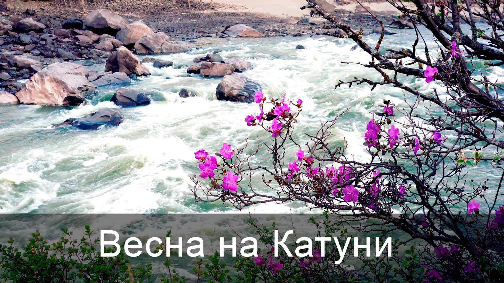 Весна на Катуни (vesna-na-katuni) Досуг, хобби