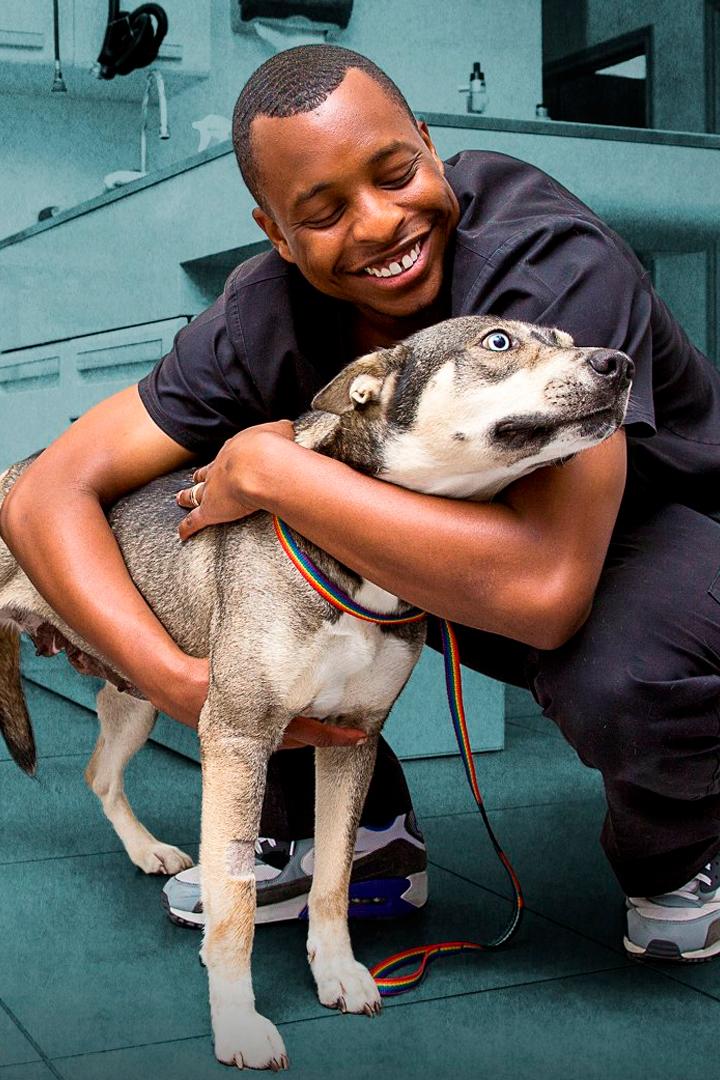 Будни ветеринара (budni-veterinara) Документальный сериал