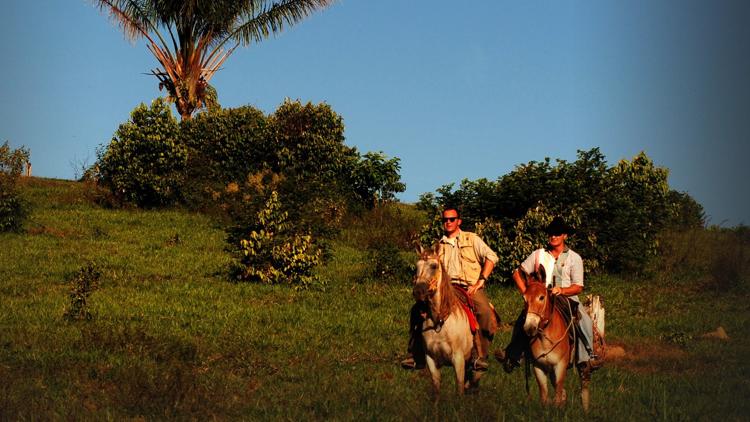 Постер Across The Amazon