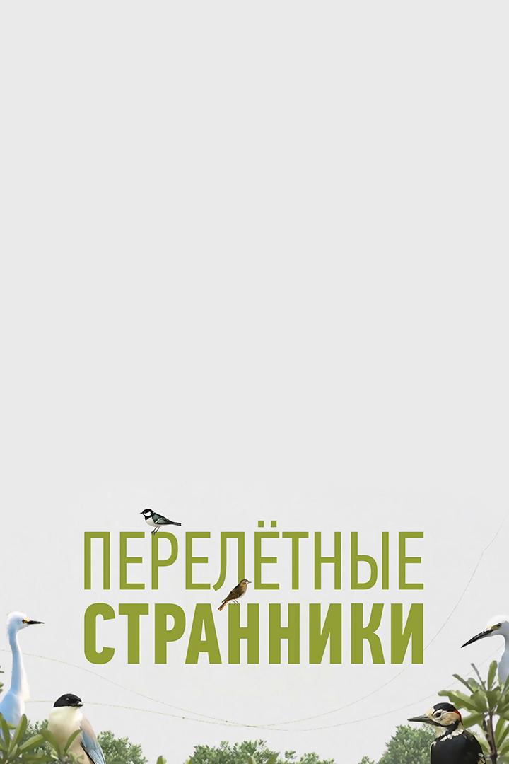 Перелётные странники (pereletnye-stranniki) Документальный фильм