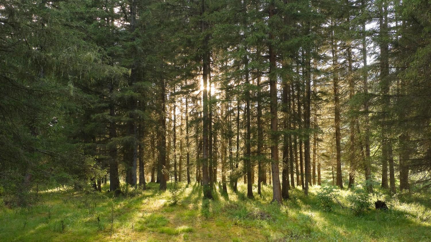 Один день из жизни (odin-den-iz-zhizni) Досуг, хобби