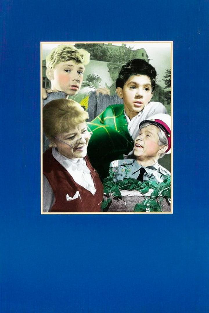 Пропало лето (propalo-leto) Фильм 1964