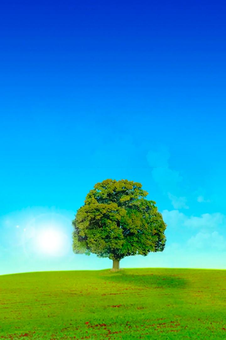 Родословная семьи (rodoslovnaja-semi) Документальный сериал