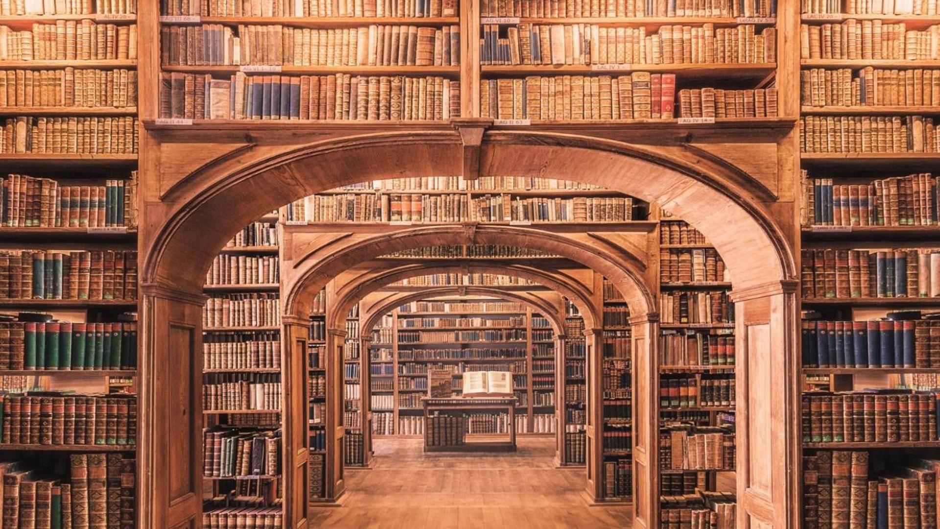 В мире библиотеки (v-mire-biblioteki) Познавательное