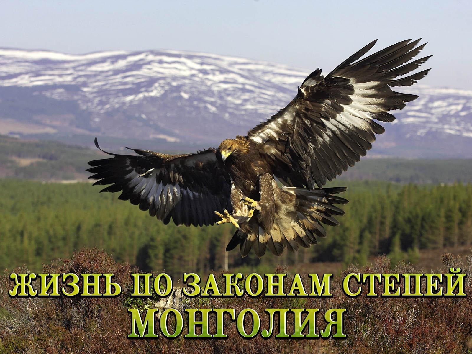 Жизнь по законам степей. Монголия (zhizn-po-zakonam-stepej-mongolija) Документальный фильм