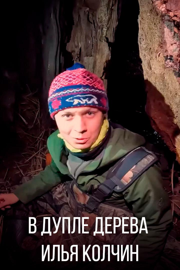 В дупле дерева - Илья Колчин (v-duple-dereva-ilja-kolchin) Досуг, хобби