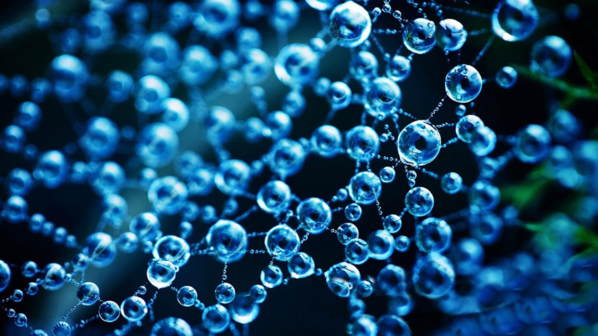 Одиссея биоразнообразия (odisseja-bioraznoobrazija) Документальный сериал