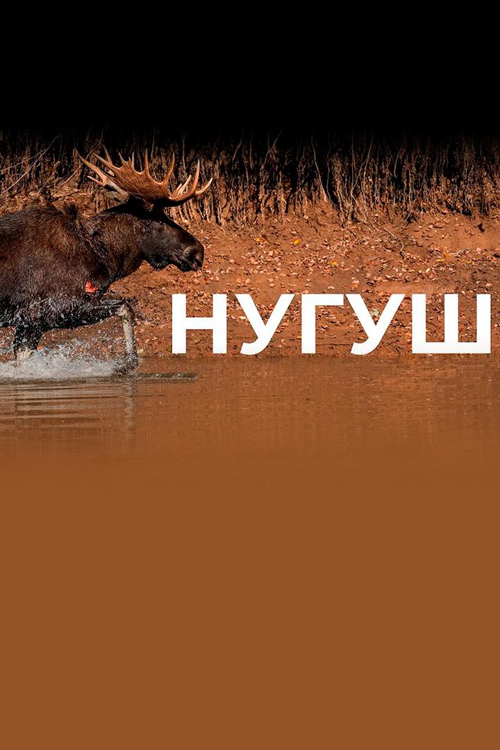 Нугуш. Вверх по течению - Олег Чегодаев (nugush-vverh-po-techeniju-oleg-chegodaev) Досуг, хобби