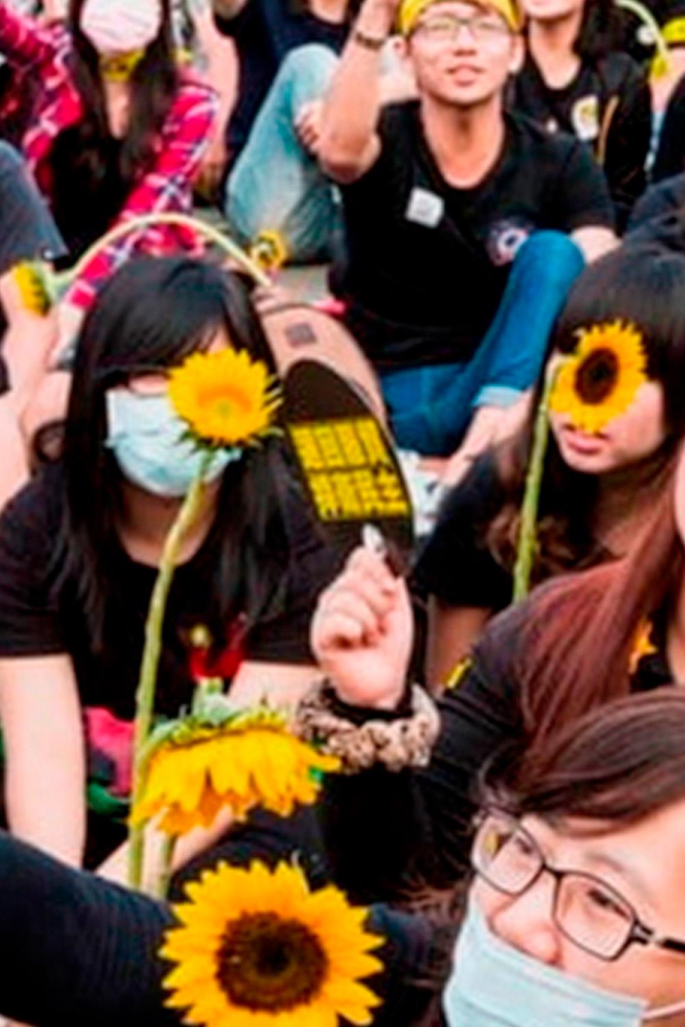 Taiwan, democrația digitală (taiwan-democraia-digital) Документальный фильм