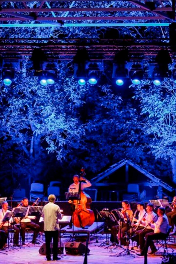 Visul unei nopți de vară. Gala de Operă la Butuceni (visul-unei-nopi-de-var-gala-de-oper-la-butuceni) Музыка
