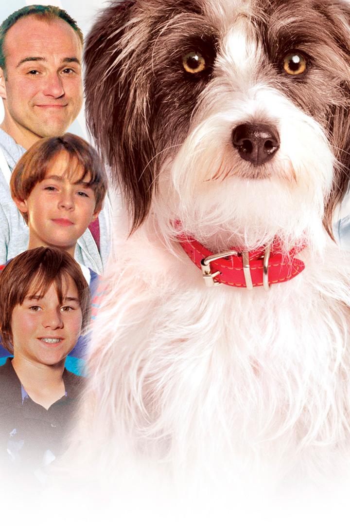 Сокс: лучший друг семьи (soks-luchshij-drug-semi) Фильм 2013