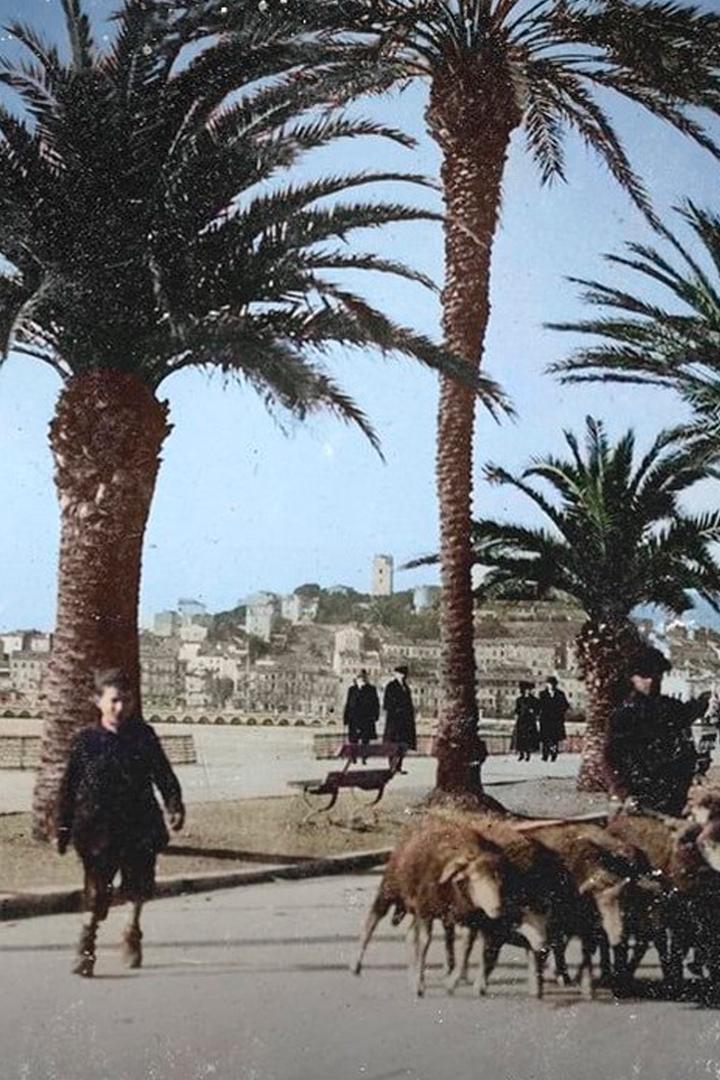 Как появилась французская Ривьера (kak-pojavilas-frantsuzskaja-rivera) Документальный фильм