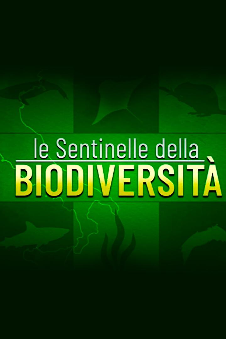 Le sentinelle della biodiversità (le-sentinelle-della-biodiversit) Документальный фильм