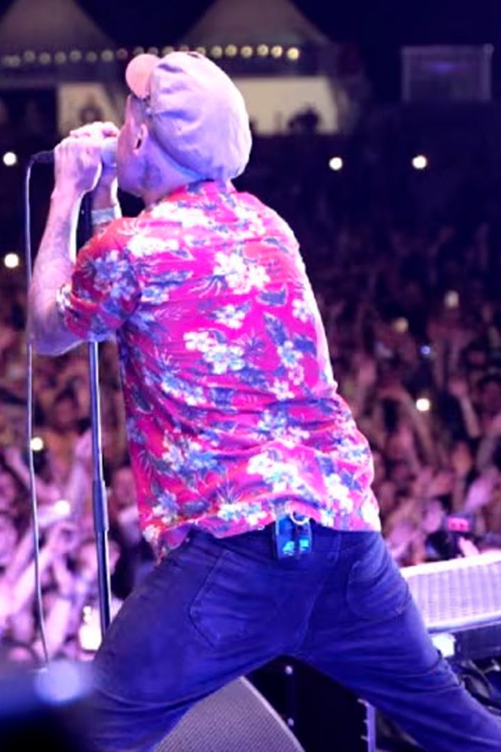 Rocco del Schlacko (rocco-del-schlacko) Документальный сериал