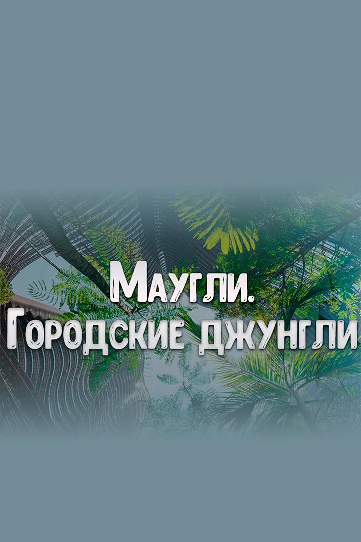 Маугли. Городские джунгли (maugli-gorodskie-dzhungli) Фильм 2025