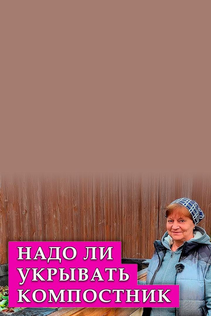 Надо ли укрывать компост на зиму (nado-li-ukryvat-kompost-na-zimu) Досуг, хобби